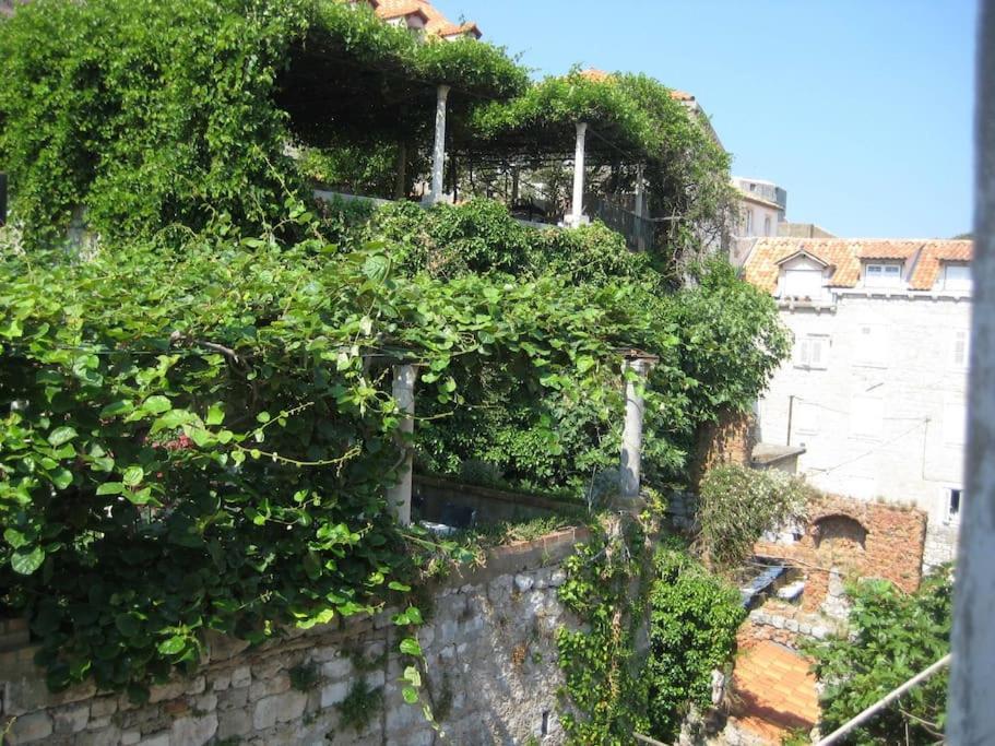 Design Studio - Old Town Ντουμπρόβνικ Εξωτερικό φωτογραφία